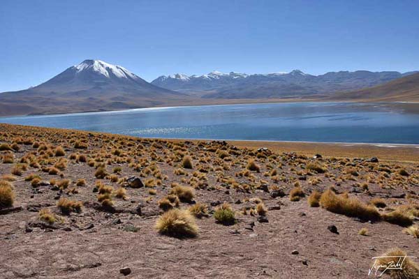 Photo du Chili, lagunas altiplanicas sur les hauts plateaux de la cordillère des Andes.