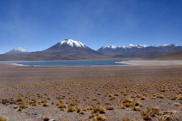 Photo du Chili, l'altiplano andin, 4200 m