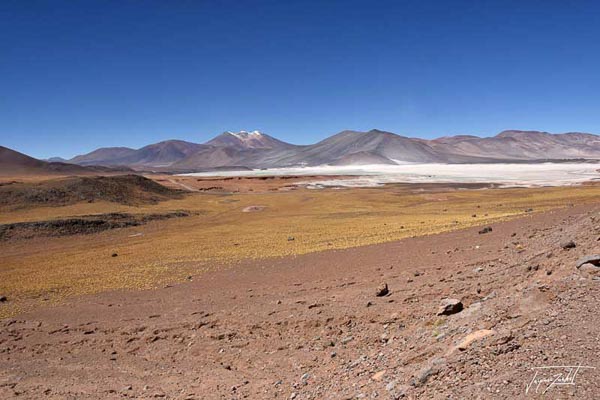 Photo du Chili, lagunas altiplanicas, 4200 m