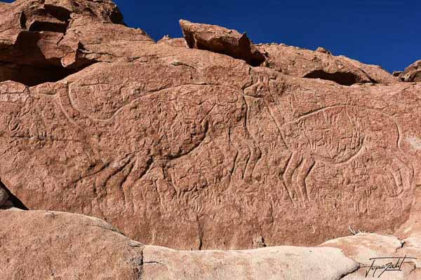 Photo du Chili, les gravures rupestres de la valle arco iris dans le désert de Atacama