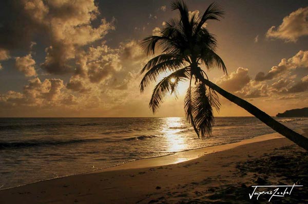 Sunset on a beach in Martinique, French West Indies