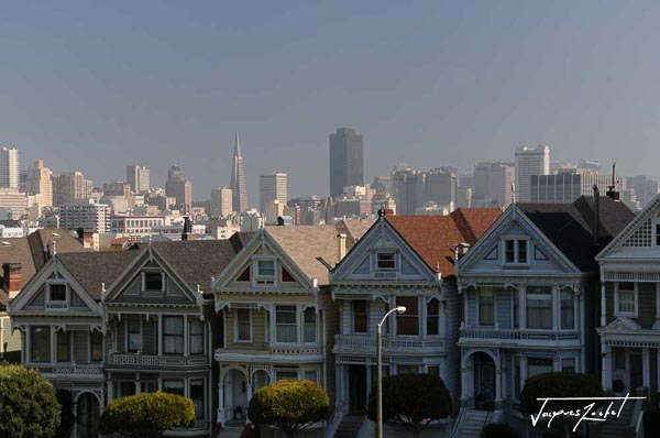 The Painted ladies of San Francisco in front of Alamo Square Park, downtown in the distance, california