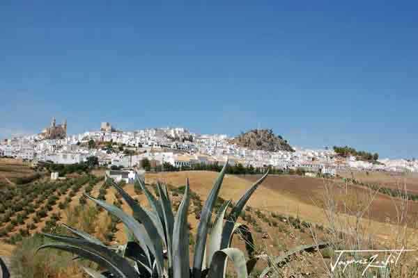 Le sud de l'espagne, l'andalousie