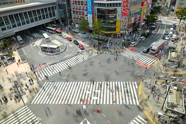 shibuya crossing, Tokyo
