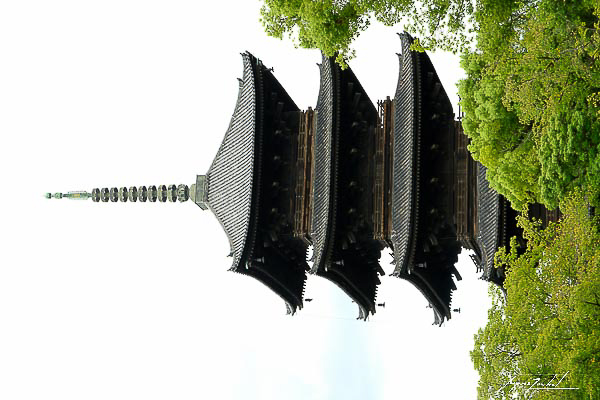 kyoto, le temple Toji