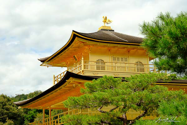 kyoto, le temple d'or
