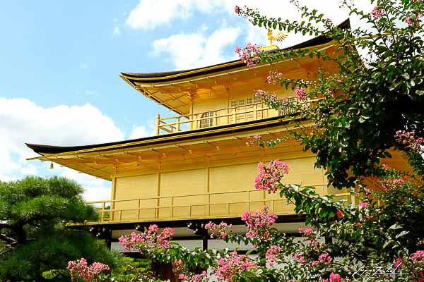 kyoto, le temple d'or