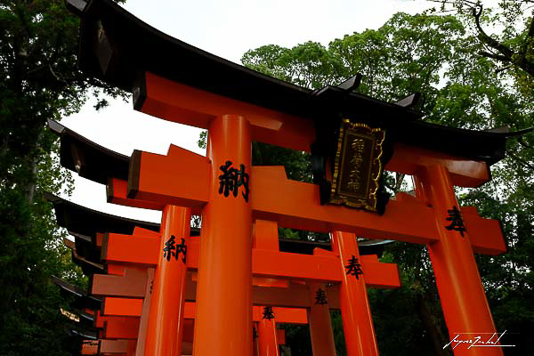kyoto, temple Fushimi Inari-taisha