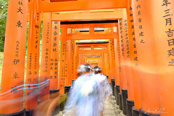 kyoto, temple Fushimi Inari-taisha