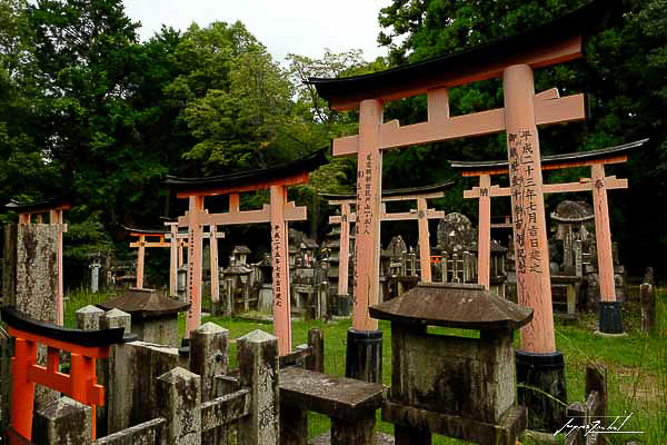 kyoto, temple Fushimi Inari-taisha