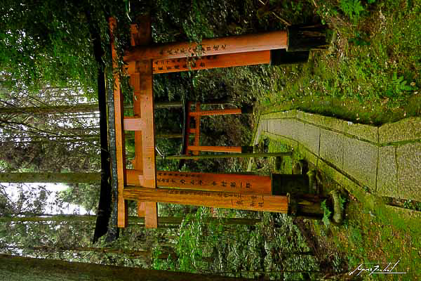kyoto, temple Fushimi Inari-taisha