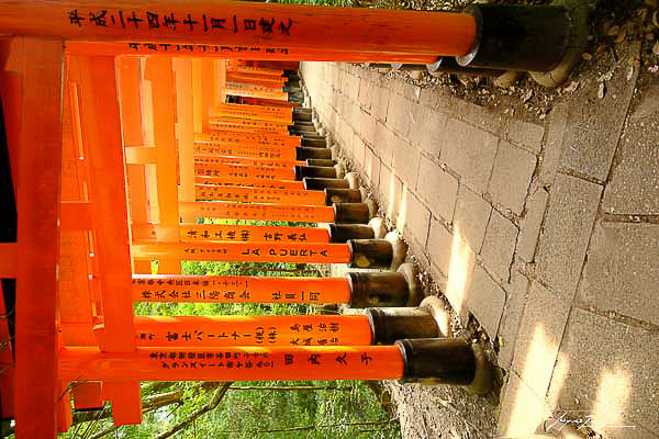 kyoto, temple Fushimi Inari-taisha