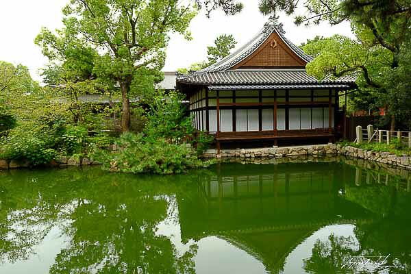 Sumiyoshi Taisha Shrine, Osaka, Japon