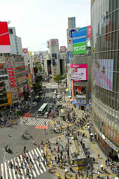 Shibuya