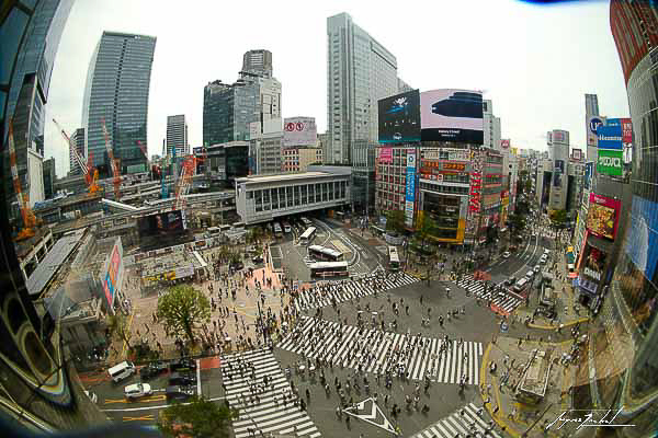 Shibuya crossing, Tokyo, Japon