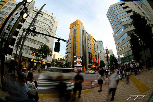 tokyo, shibuya crossing