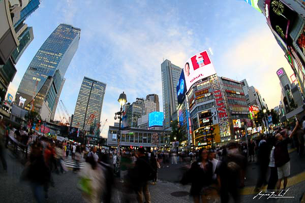 Shibuya crossing, Tokyo, Japon