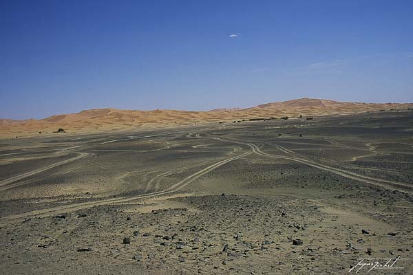 photos du Maroc, dunes de merzouga, erg chebbi