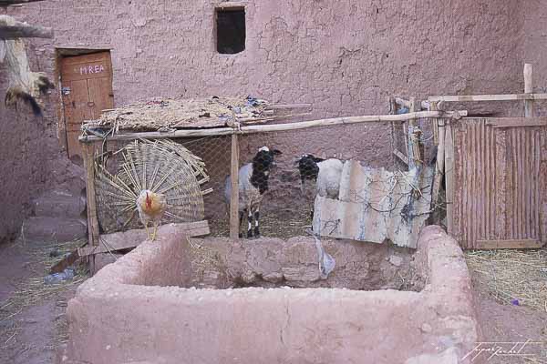 photos du Maroc, Aït-ben-Haddou est un ksar du Maroc inscrit sur la liste du patrimoine mondial de l'UNESCO