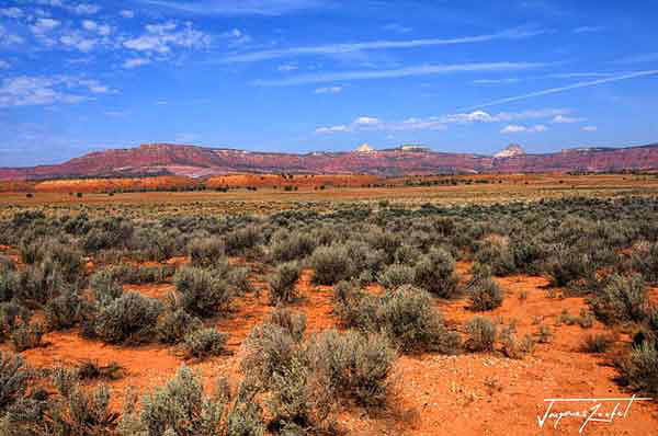 Arizona,  avec une superficie de 295 254 km2, il est le 6e État américain le plus vaste