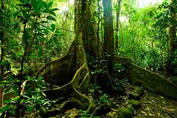 Découvrir le Costa Rica